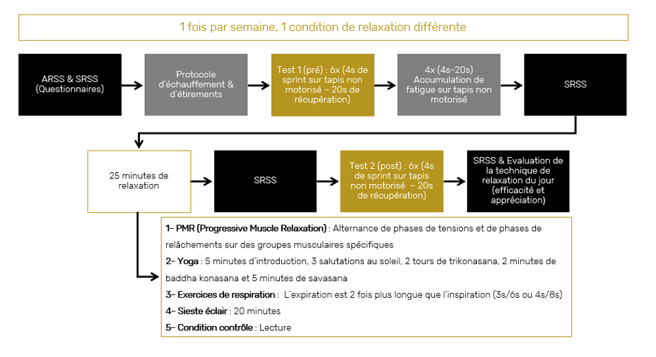 INTERMITTENT vs CONTINU : QUELS EFFETS SUR LES QUALITÉS D’ENDURANCE ?