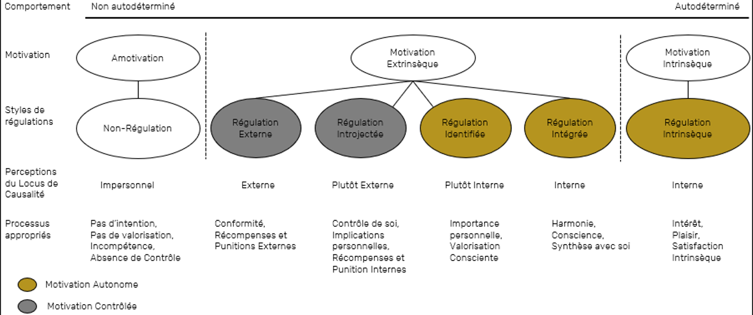 INTERMITTENT vs CONTINU : QUELS EFFETS SUR LES QUALITÉS D’ENDURANCE ?