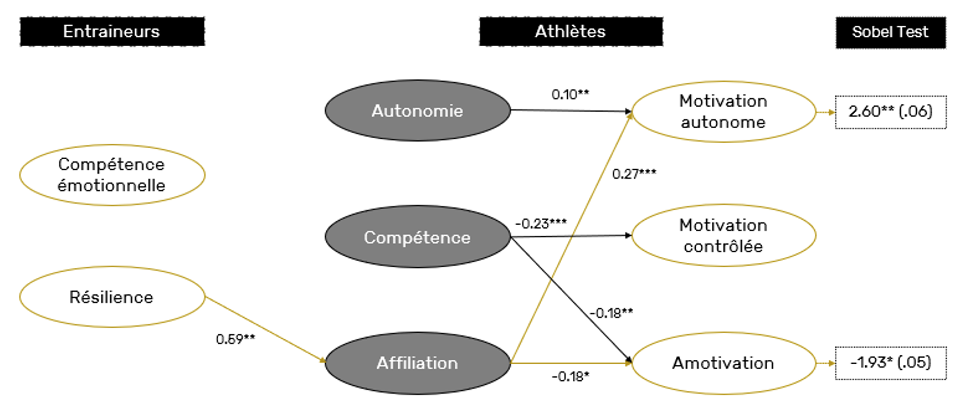 INTERMITTENT vs CONTINU : QUELS EFFETS SUR LES QUALITÉS D’ENDURANCE ?